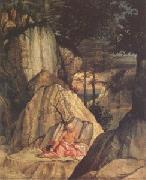 Lorenzo Lotto Jerome in the Desert (mk05) china oil painting artist